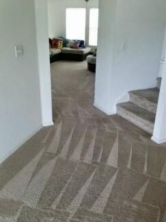 Mark Panozzo Carpet Cleaning & Painting